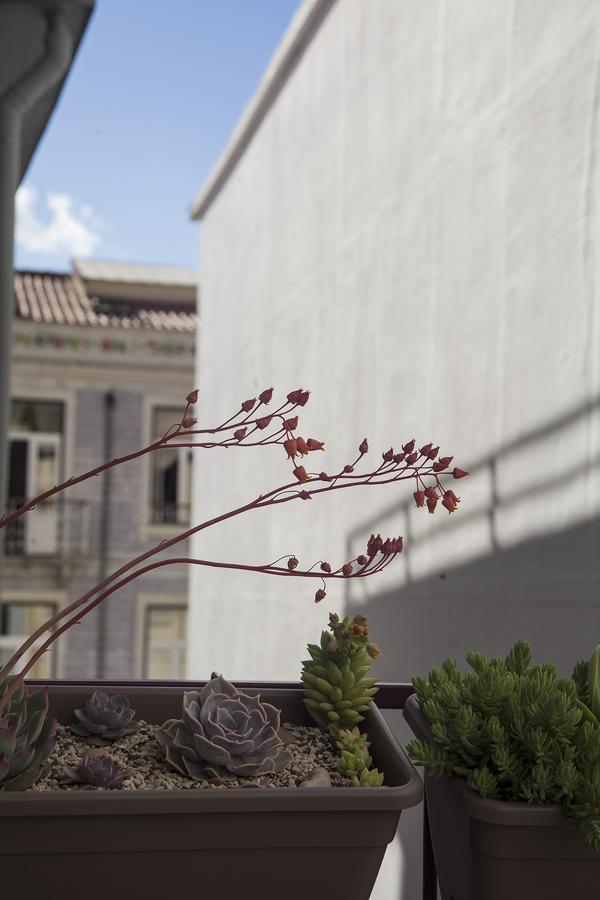 Lisbon Poets Inn المظهر الخارجي الصورة